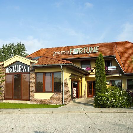 Penzion Fortune Dunajská Streda 외부 사진